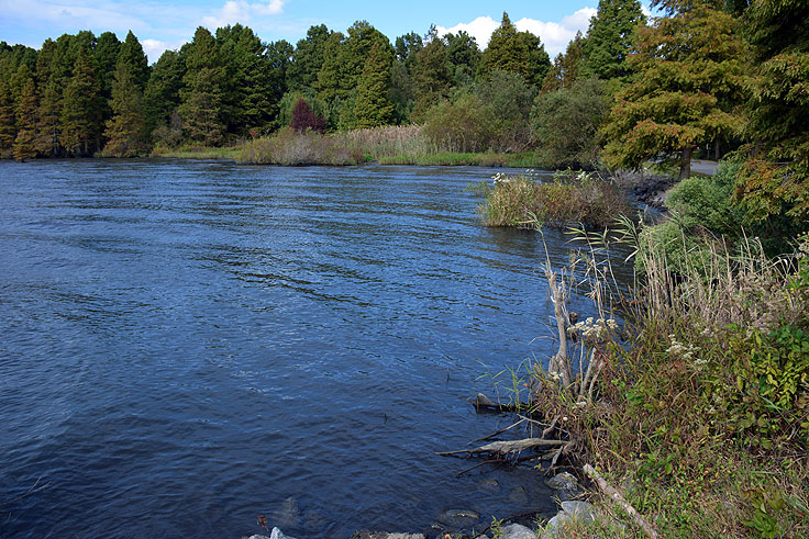 Water's edge at Pettigrew State Park