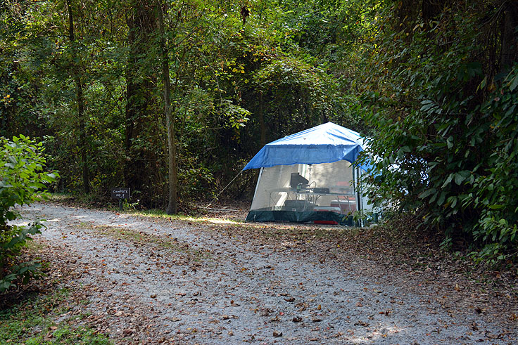 A tent site at Pettigrew State Park