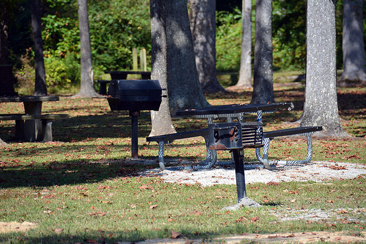 Picnic tables and grill pits at Neuse River Recreation Area