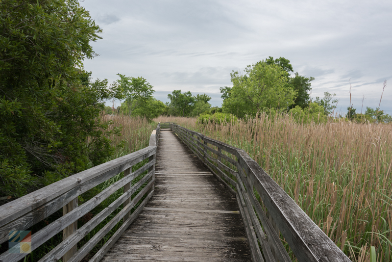 Waterside view from Lawson Creek Park