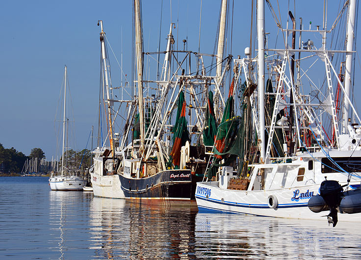 Fishing boats in Oriental, NC