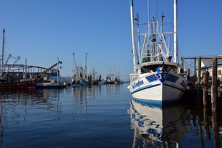 Fishing boats in Oriental, NC