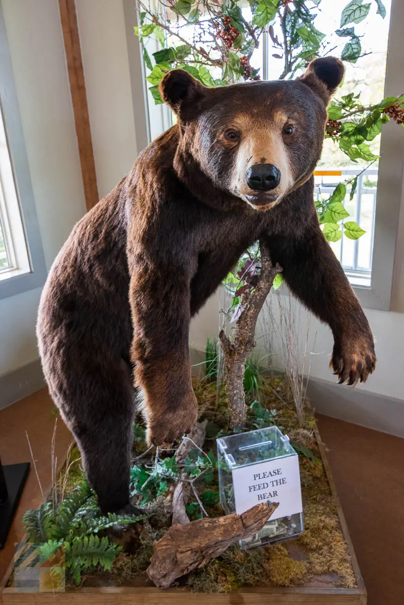 Outer Banks Center for Wildlife Education