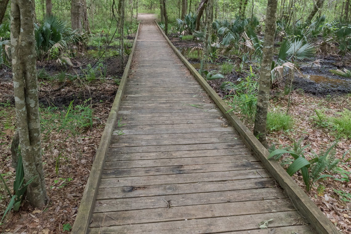 Latham Whitehurst Nature Park