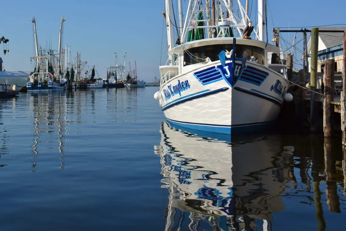About Us - Pamlico.com