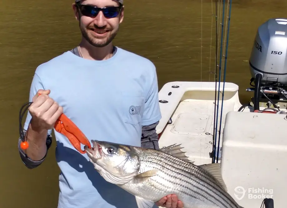 Wet Kitty River Charters