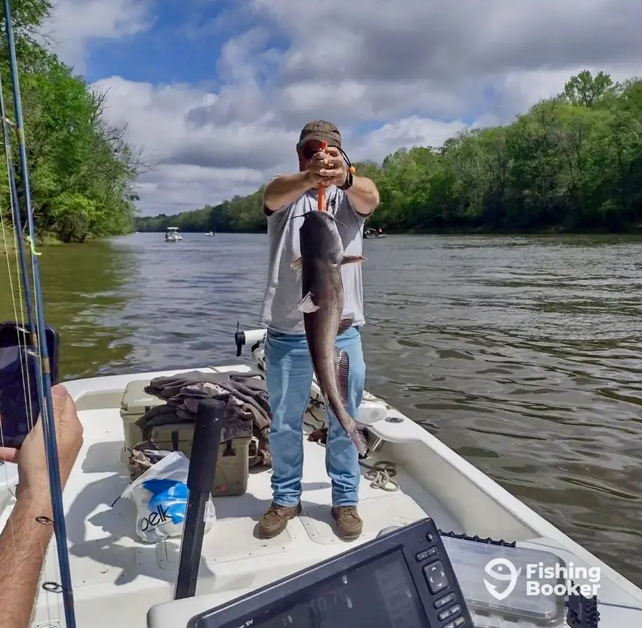 Roanoke River Catfishing charter image 6