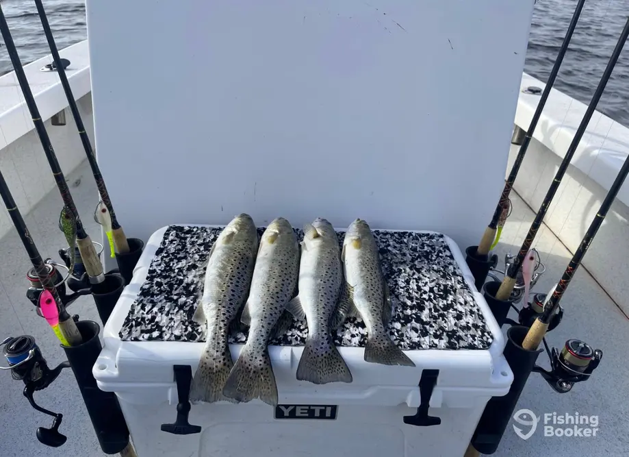 Wicked East Charters charter image 3