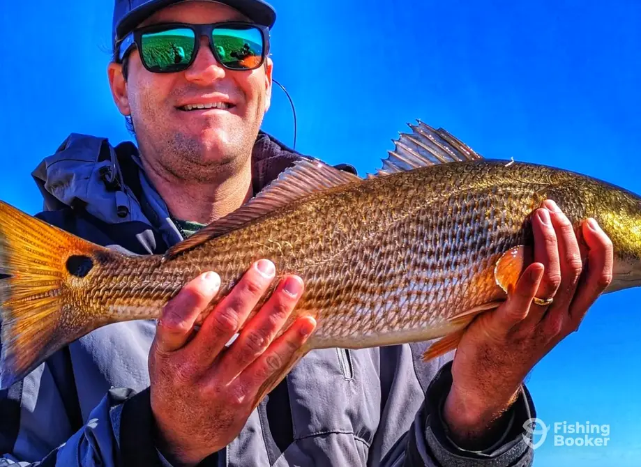 Pamlico Fly Guide Service – Washington charter image 2
